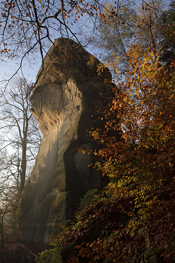 Rno ve skalch - vt formt