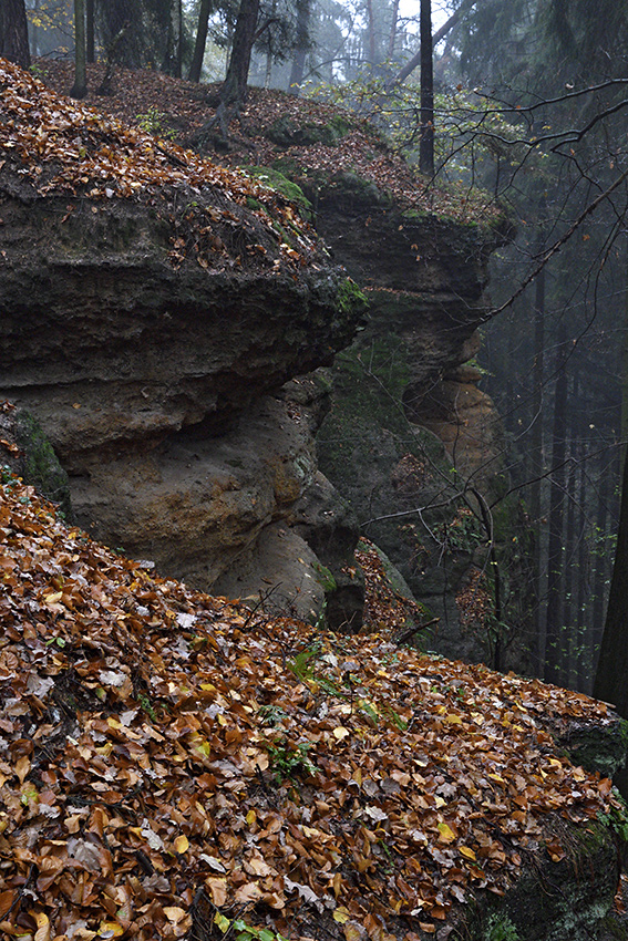 Over the "Vojtsk dl" - larger format