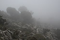 Cestou k jeskyni - hlavn odkaz