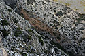Rokle shora - hlavn odkaz