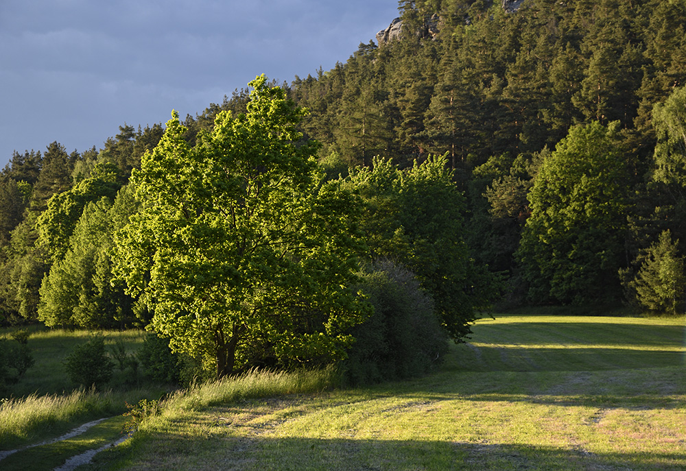 Under "Vlho" in evening - larger format