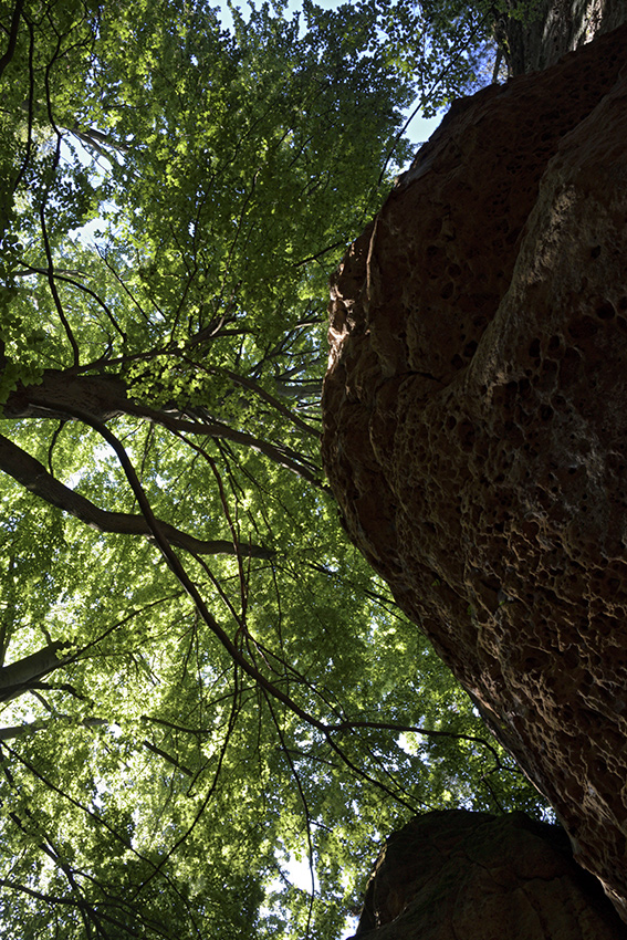 View from the sleeping bag - larger format