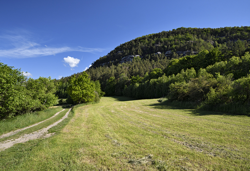 Under "Vlho" in morning - larger format