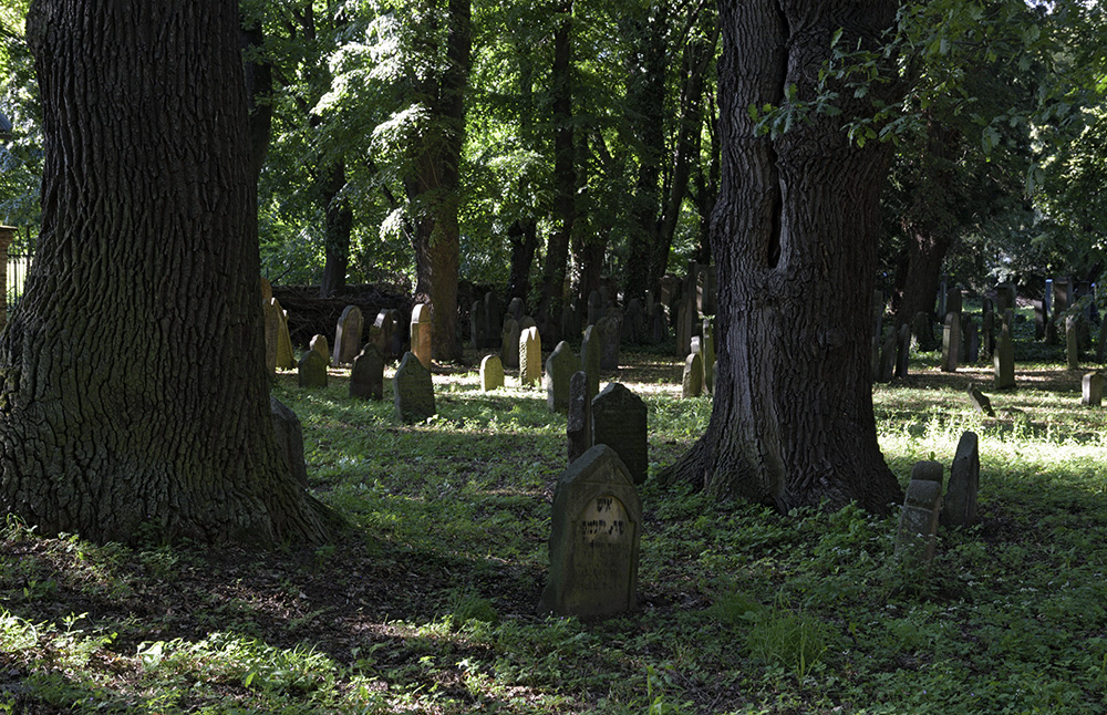 Jewish cemetery in "Uhnves" - larger format