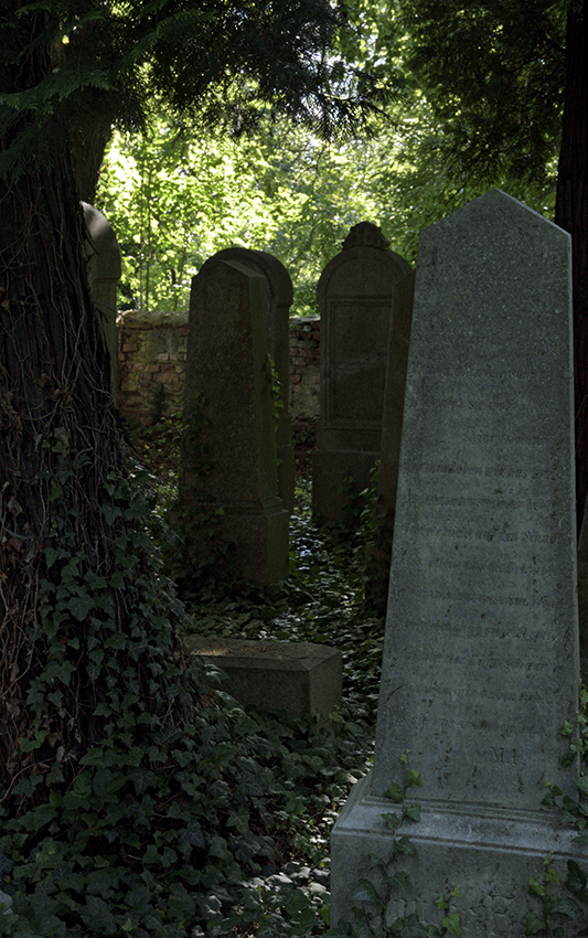 Jewish cemetery in "Uhnves" - larger format