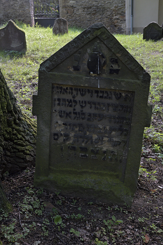 Jewish cemetery in "Uhnves" - larger format