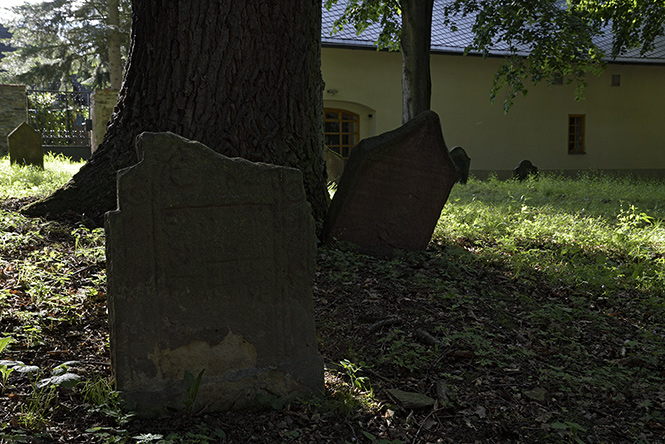 Jewish cemetery in "Uhnves" - smaller format