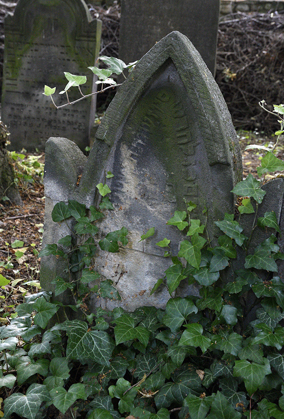 Jewish cemetery in "Uhnves" - larger format