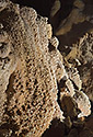 Jeskynn korl - hlavn odkaz