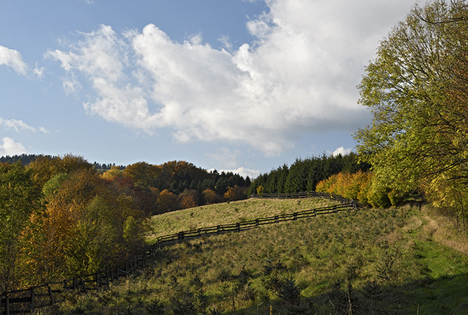 Ve strnch nad Skalkou - men formt