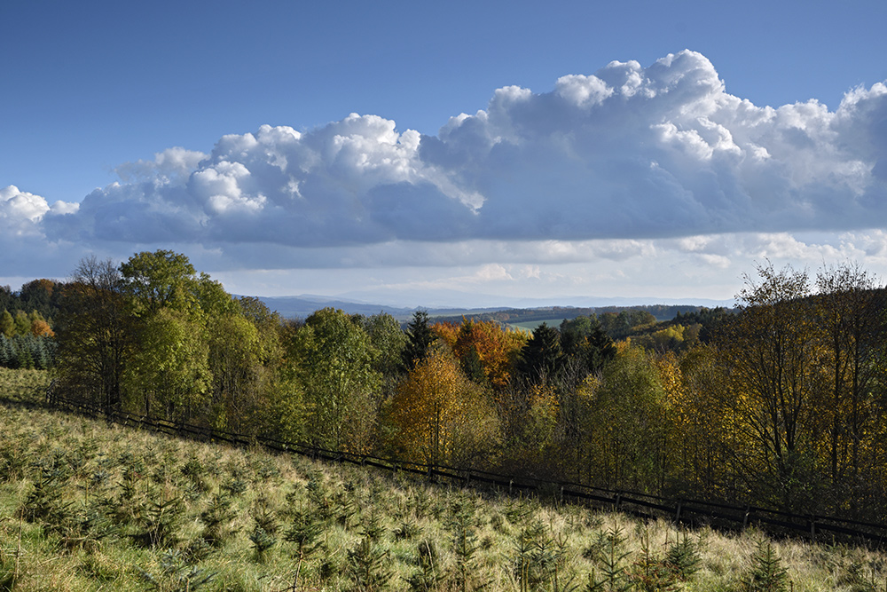 Ve strnch nad Skalkou - vt formt