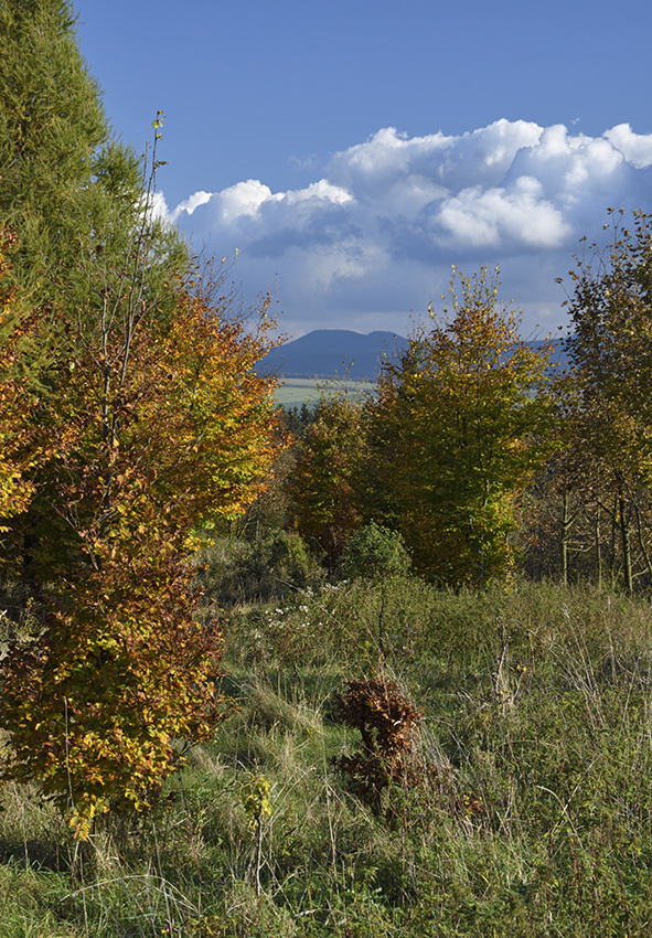 Ve strnch nad Skalkou - vt formt