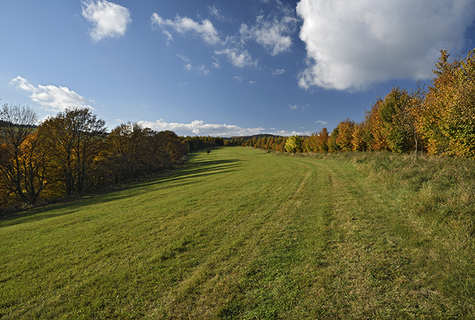 Ve strnch nad Skalkou - men formt