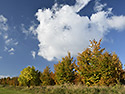 Ve strnch nad Skalkou - hlavn odkaz