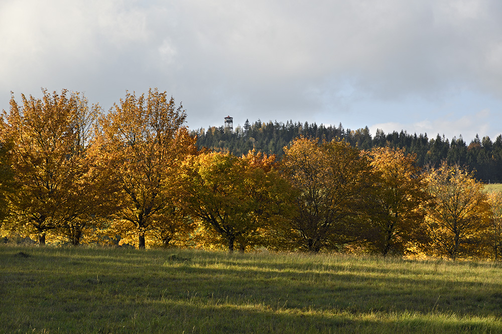 Ve strnch nad Skalkou - vt formt