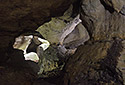 Loupenick jeskyn - hlavn odkaz