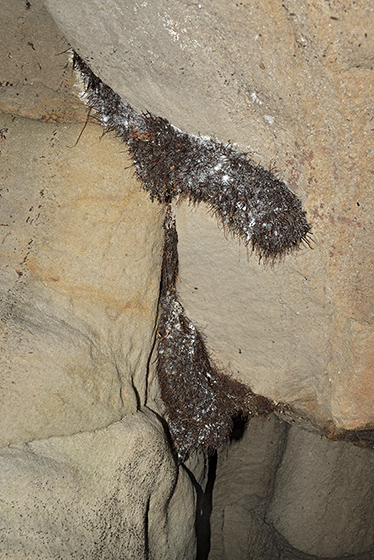 Koenov stalaktit - men formt