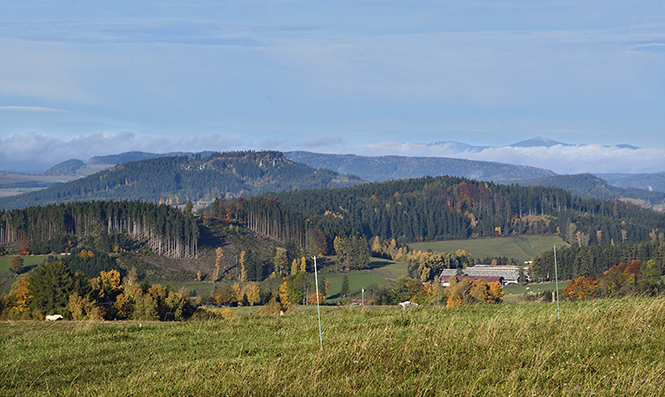 Vhled k Ostai - men formt