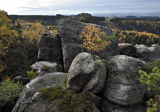 Ve skalch - men formt