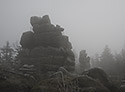 edo - hlavn odkaz
