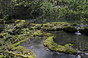 Travertin cascades - main link