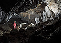 In the "Amateur Cave" - main link