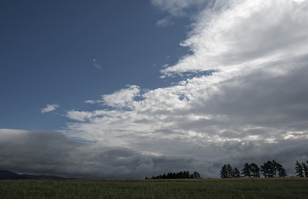 Near Maple Hills - larger format