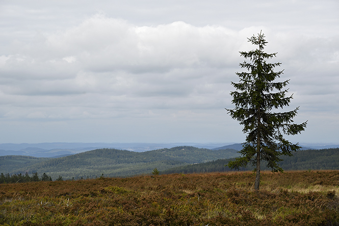 View to north-east - smaller format