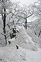 "Saddle Hill" in white - main link