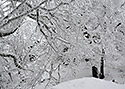 "Saddle Hill" in white - main link