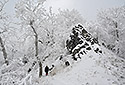 "Saddle Hill" in white - main link