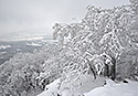 "Saddle Hill" in white - main link