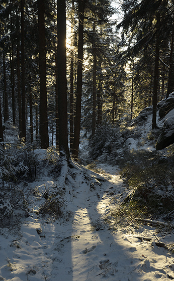 Podveern svtlo - men formt