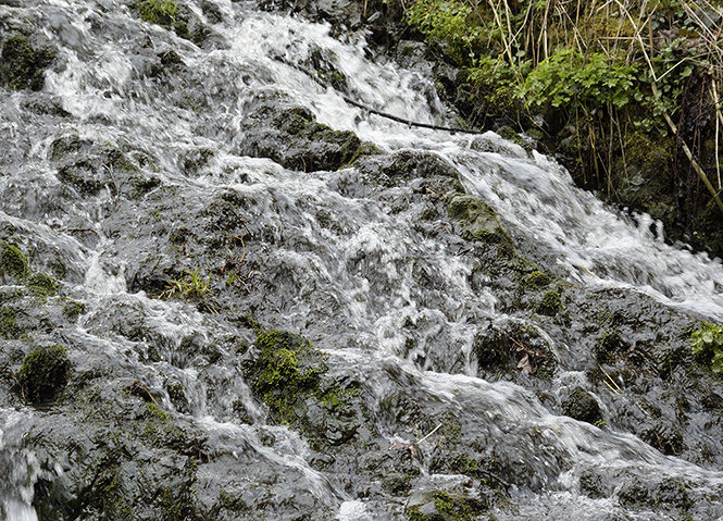 On the "Beaver Creek" - smaller format