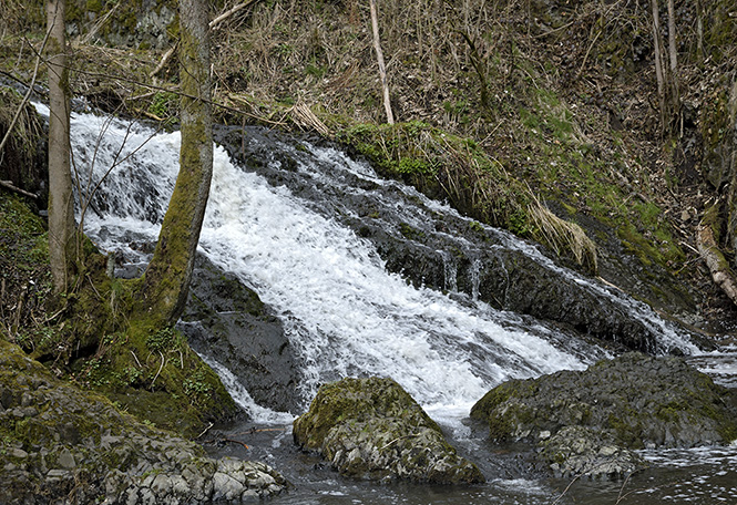 On the "Beaver Creek" - smaller format