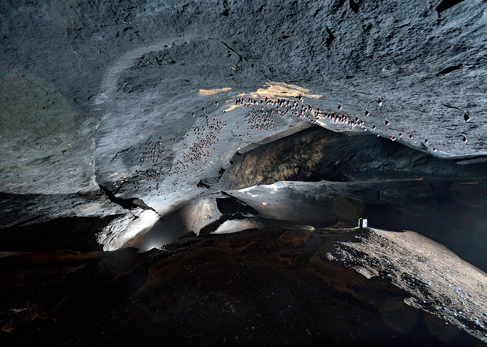 "Krtola" cave - larger format