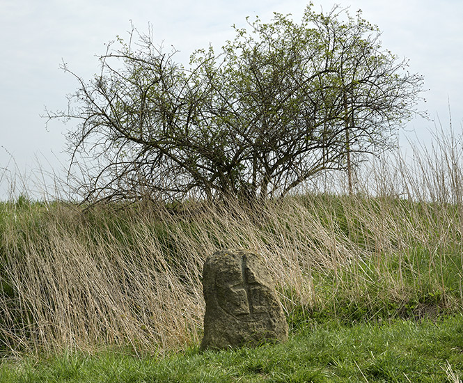 Menhir - men formt