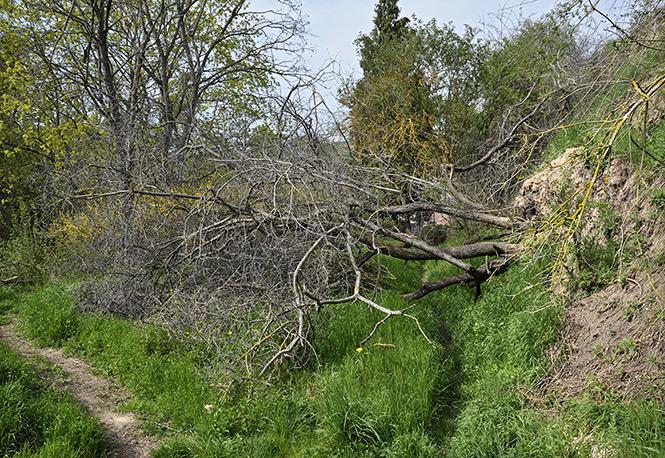 Cesta nad rokl - men formt