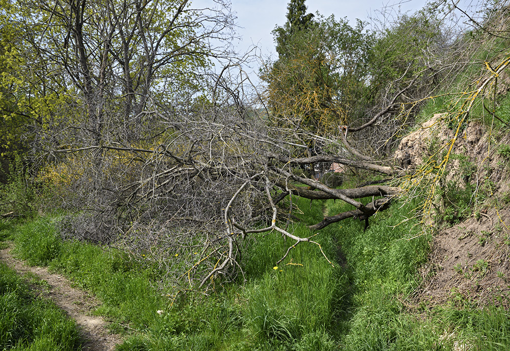 Cesta nad rokl - vt formt