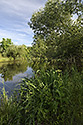 "Modany" lagoon - main link