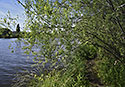 At "Vltava" river - main link