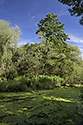 "Modany" lagoon - main link