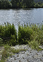 At "Vltava" river - main link