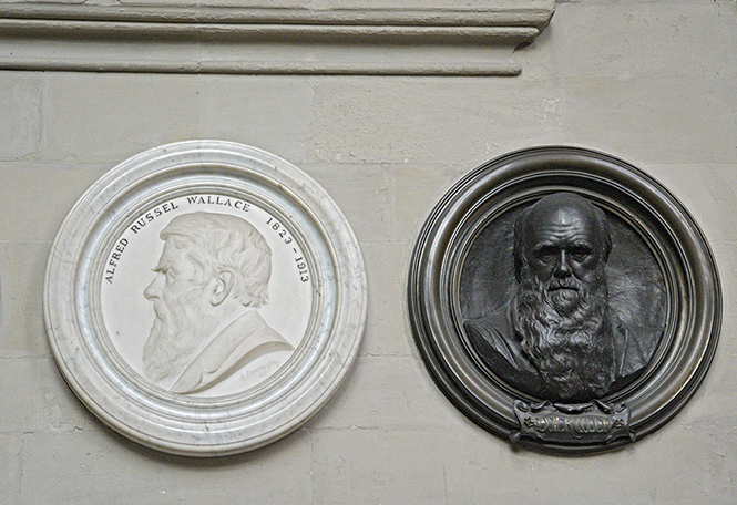 Darwin a Wallace - men formt