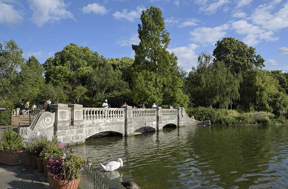 Serpentine Bridge - vt formt