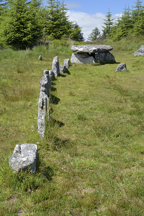 Dolmen u Postbridge - vt formt