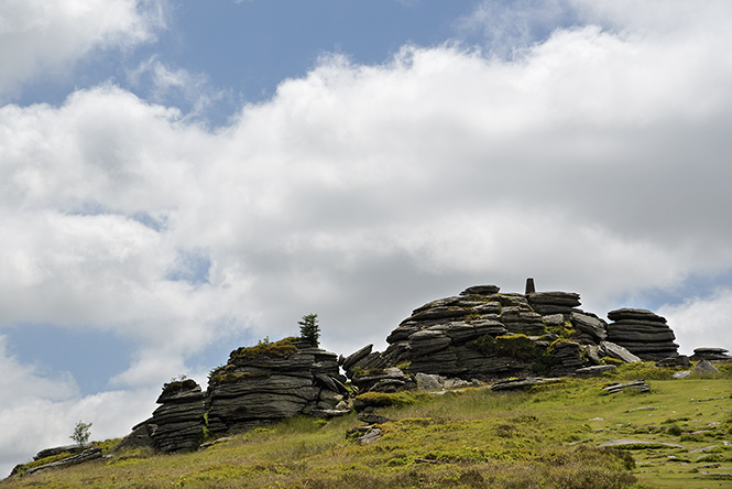 Bellever Tor - men formt