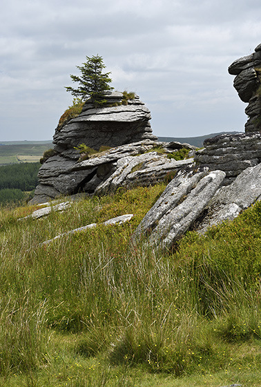 Bellever Tor - men formt