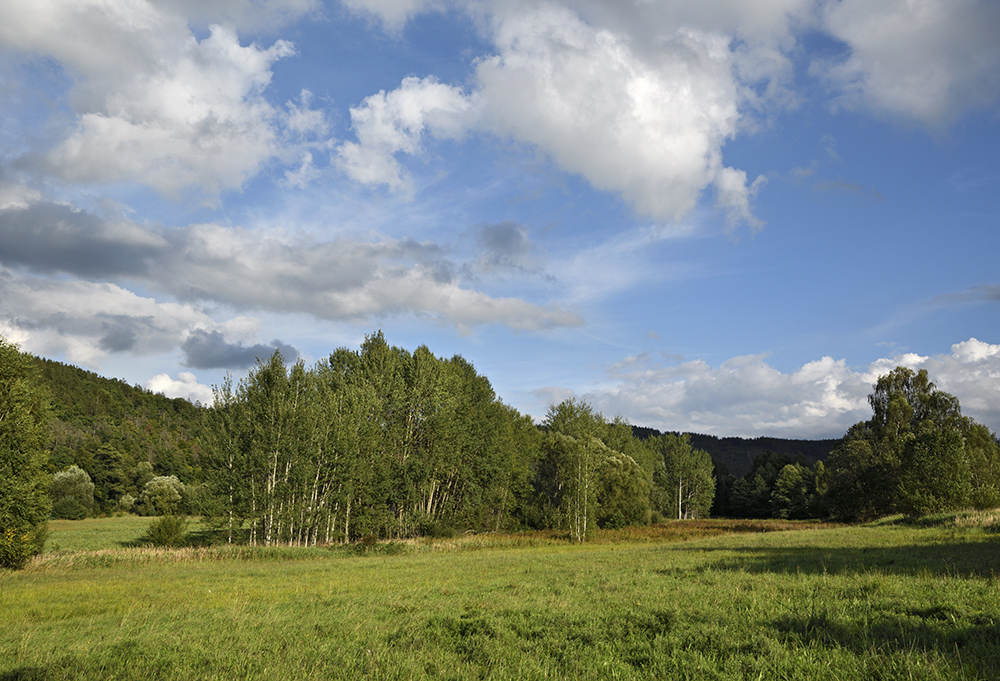 "Litavka" valley - larger format