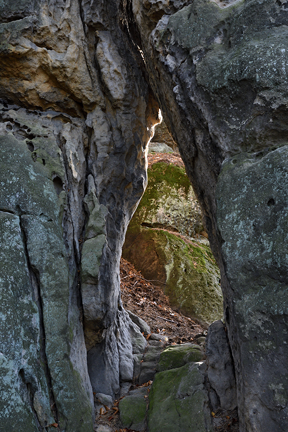 Porta - larger format